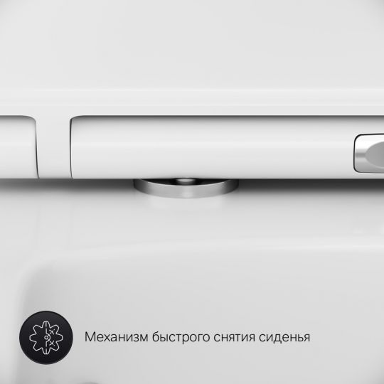 Подвесной безободковый унитаз AM.PM Inspire V2.0 FlashClean с сиденьем микролифт C50A1700SC схема 11