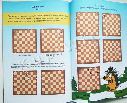 Шахматы для детей от 4 до 9 лет