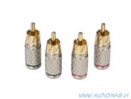 Aura RCA-P602 6мм. вход