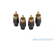 Aura RCA-P604 6мм. вход