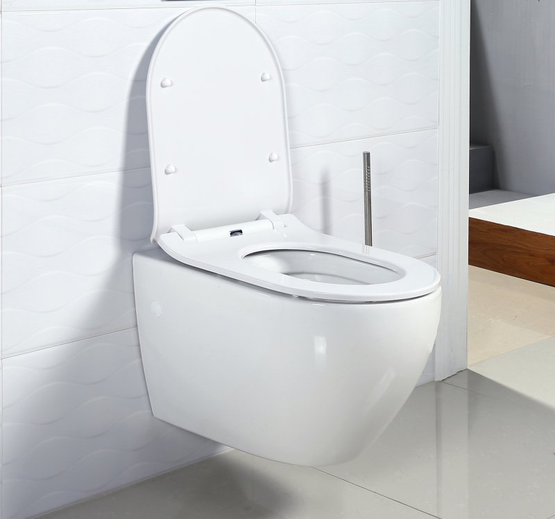 Безободковый унитаз BelBagno Sfera-R (Сфера-Р) BB513CH ФОТО