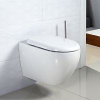 Безободковый унитаз BelBagno Sfera-R (Сфера-Р) BB513CH схема 5