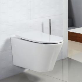 Безободковый унитаз BelBagno Flay-R (Флэй-Р) BB506CH