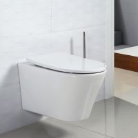 Безободковый унитаз BelBagno Flay-R (Флэй-Р) BB506CH схема 1