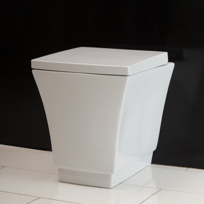 Безободковый унитаз BelBagno Regina (Регина) BB104CB