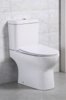 Безободковый унитаз моноблок BelBagno Steam BB130CPR схема 4