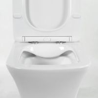 Напольный безободковый унитаз BelBagno Marmi BB052CPR схема 4