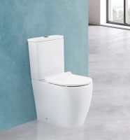 Безободковый унитаз моноблок BelBagno Etna BB2157CPR P-trap схема 1