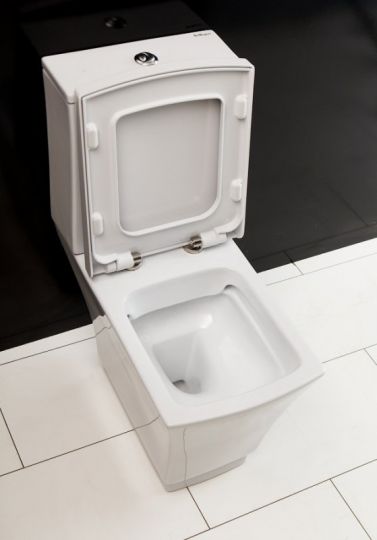 Безободковый унитаз BelBagno Regina (Регина) BB104CP схема 5