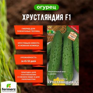 Семена Огурец Хрустляндия F1  12шт.