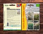 Мискантус Сахароцветковый (Miscanthus Sacchariflorus), 0,1 г (Ред.Сем.)