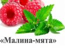 Сбор " Малина и мята "