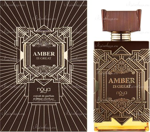 Zimaya Perfumes Noya Amber Is Great