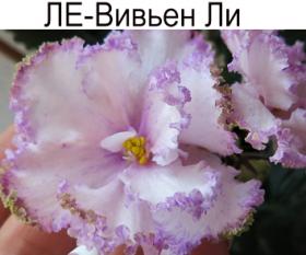 ЛЕ-Вивьен Ли (Лебецкая)