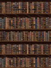 Фон стена "Bookold №1"