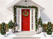 Фон стена "Fir №16"