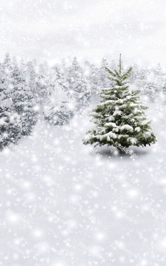 Фон стена "Schnee"