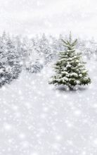 Фон стена "Schnee"