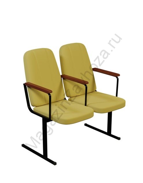 Секция кресел СК-1 двухместная