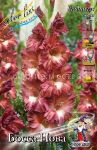 GLADIOLUS-BOSSANOVA-BOSSA-NOVA-3-sht