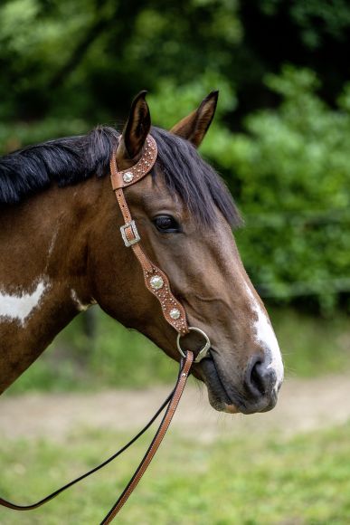 Оголовье Вестерн -Arlington-  HKM