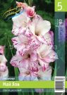 GLADIOLUS-MAJ-LOV-MY-LOVE-10-12-5-sht