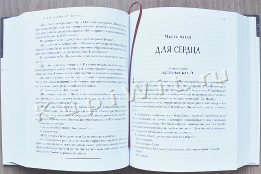 «Два капитана» - роман