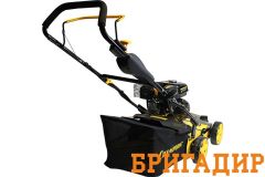 скарификатор взять в аренду
