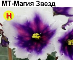 МТ-Магия Звезд (Тотиева)  НОВИНКА