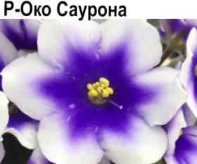 Р-Око Саурона (Зуб)