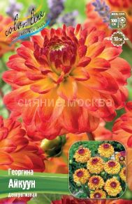 ​ГЕОРГИНА АЙКУУН (ICOON) 1 шт