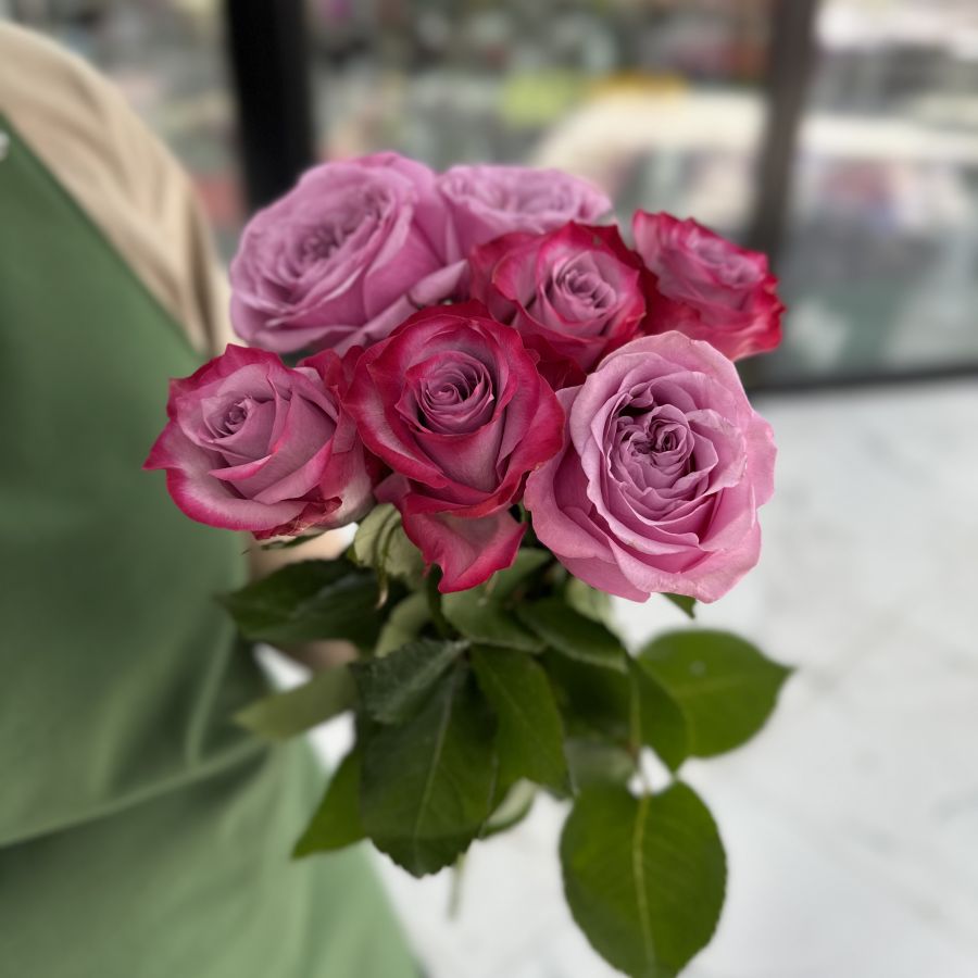 Фиолетовая роза из Кения  Mix (40cм)