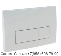 115.119.11.1 Смывная клавиша Geberit Delta 50, двойной смыв белая