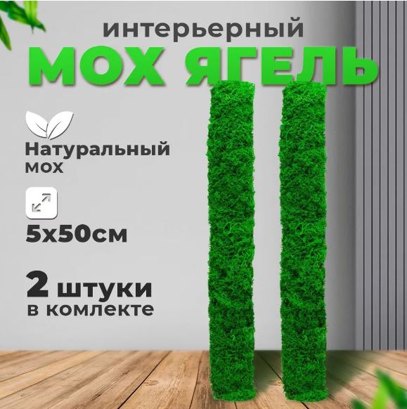 Мох стабилизированный настенное панно 5 см*50 см