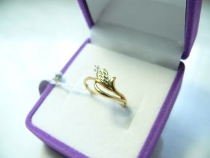 п200/16 Кольцо