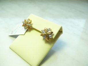 С15/23 Серьги