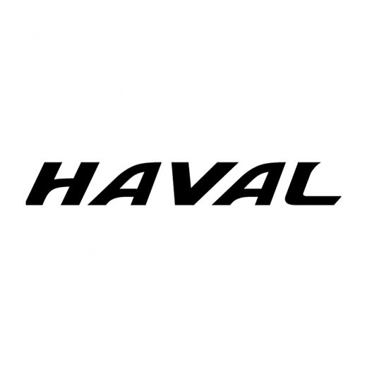 БРЫЗГОВИКИ ЗАДНИЕ (ПОЛИУРЕТАН) HAVAL RUSORIG.96.06.F62 100% ОРИГИНАЛ