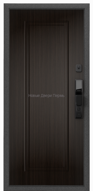 CYBER PRO MP Колоре гриджио / ПВХ Лиственница темная CBR-NC1 входная дверь
