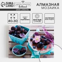 Алмазная мозаика круглыми стразами с частичным заполнением «Ягоды», 30 х 40 см. Набор для творчества