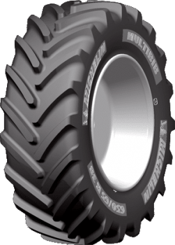 Шина 650/65R42 165D TL MULTIBIB PLUS MICHELIN