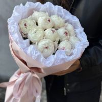 Пионы белые в стильной круглой упаковке (от 11 шт)