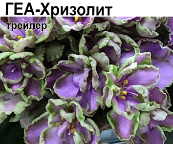 ГЕА-Хризолит  НОВИНКА