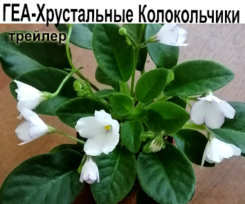 ГЕА-Хрустальные Колокольчики (Е.Галицкая)  НОВИНКА , СКОРО В ПРОДАЖЕ!