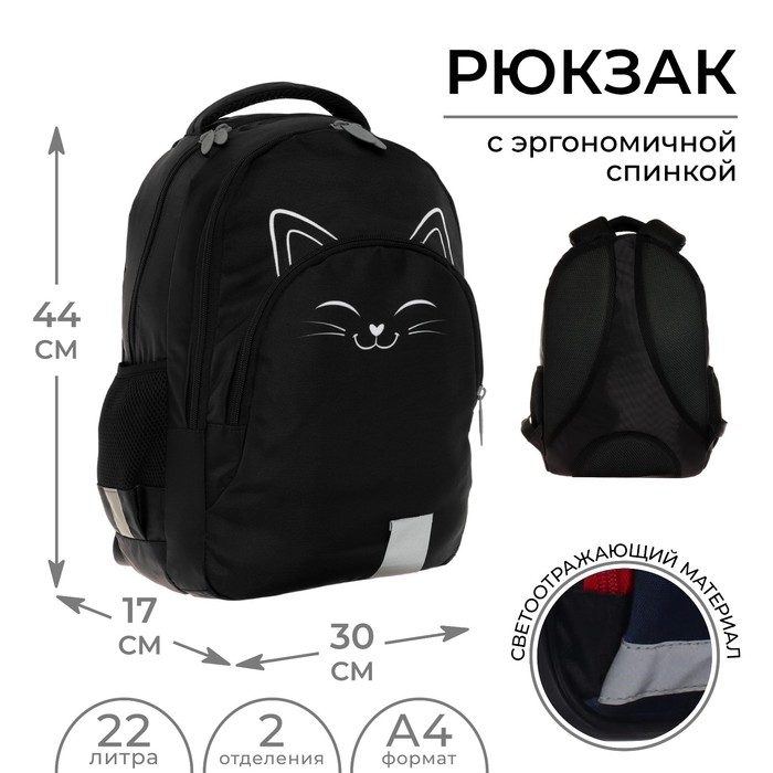 Рюкзак молодёжный, 44×30×17 см, эргономичная спинка, Calligrata Р «Котик»