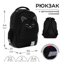 Рюкзак молодёжный, 44×30×17 см, эргономичная спинка, Calligrata Р «Котик»