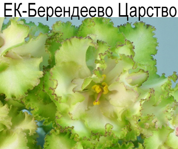 ЕК-Берендеево Царство (Е.Коршунова)
