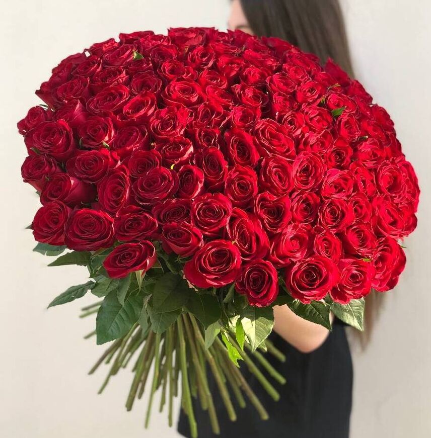 101 красная роза 60-70 см. Импорт