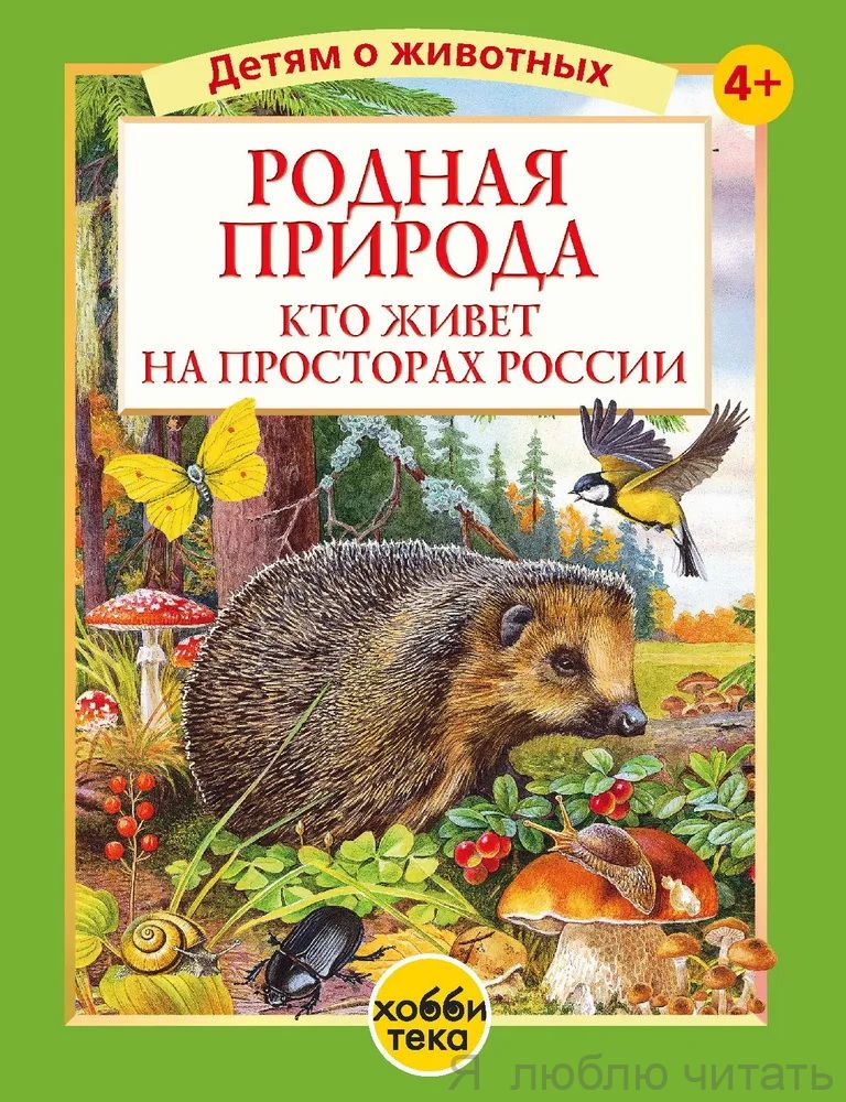 Родная природа. Кто живет на просторах России