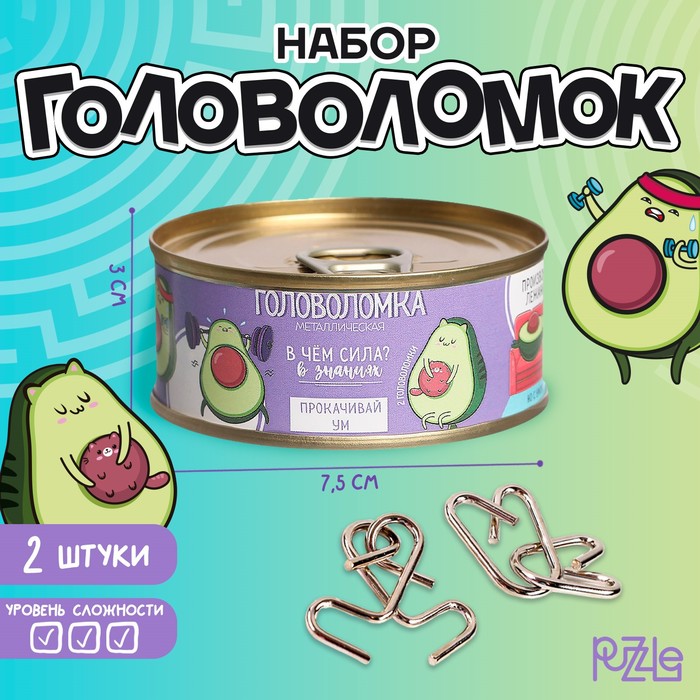 Головоломки металлические «В чём сила?», набор 2 шт., в банке