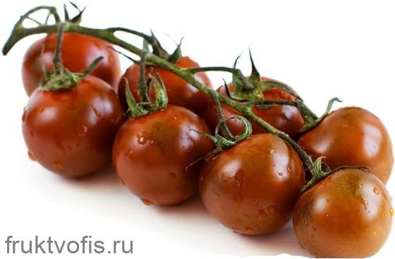 Томаты черри кумато на ветке Томаты черри кумато на ветке